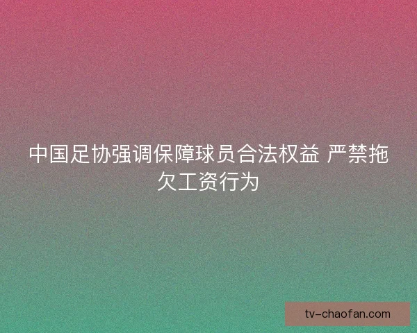 中国足协强调保障球员合法权益 严禁拖欠工资行为