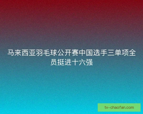 马来西亚羽毛球公开赛中国选手三单项全员挺进十六强